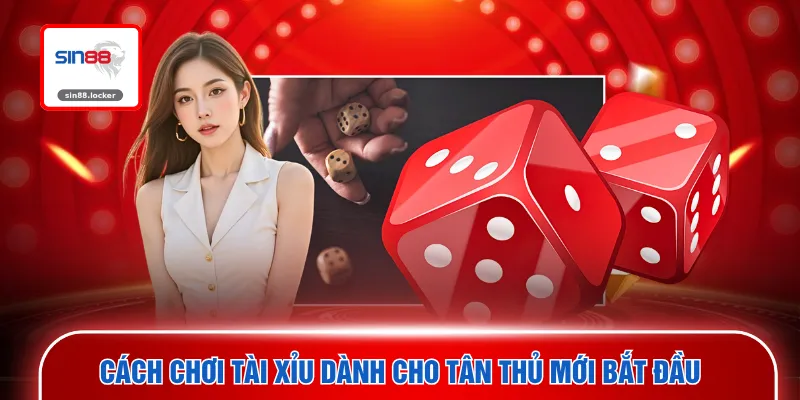 Cách chơi tài xỉu dành cho tân thủ mới bắt đầu