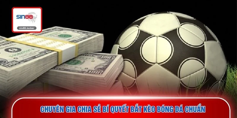 Chuyên gia chia sẻ bí quyết bắt kèo bóng đá chuẩn