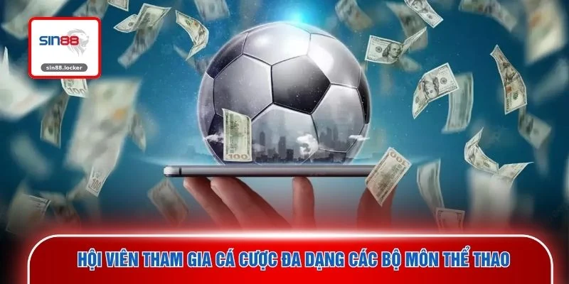 Hội viên tham gia cá cược đa dạng các bộ môn thể thao