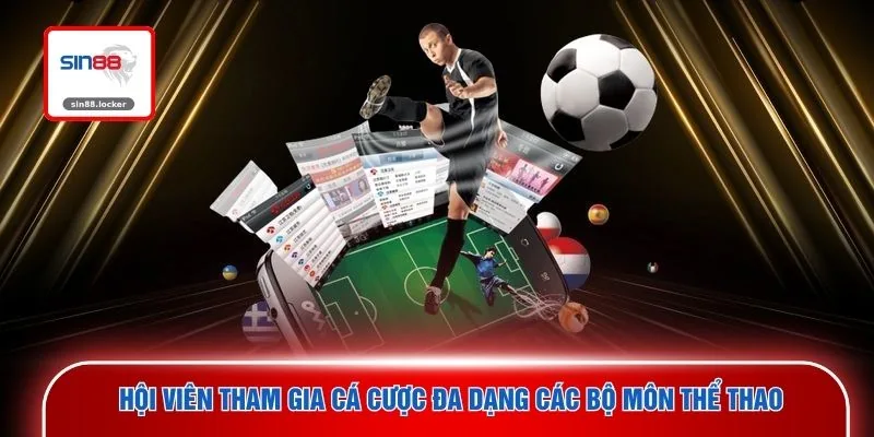 Hội viên tham gia cá cược đa dạng các bộ môn thể thao