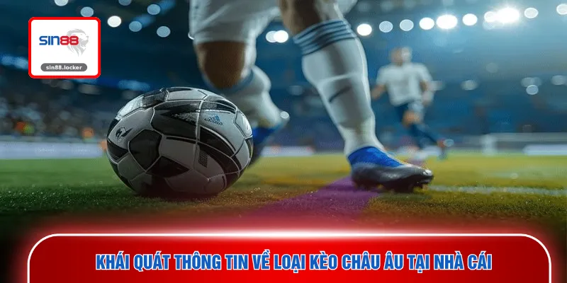 Khái quát thông tin về loại kèo châu Âu tại nhà cái