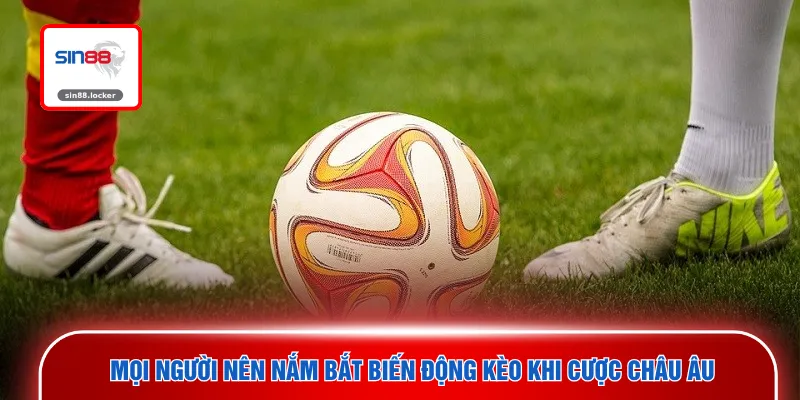 Mọi người nên nắm bắt biến động kèo khi cược châu Âu
